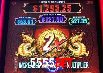 A Experiência Imersiva dos Cassinos Ao Vivo no 5555bet